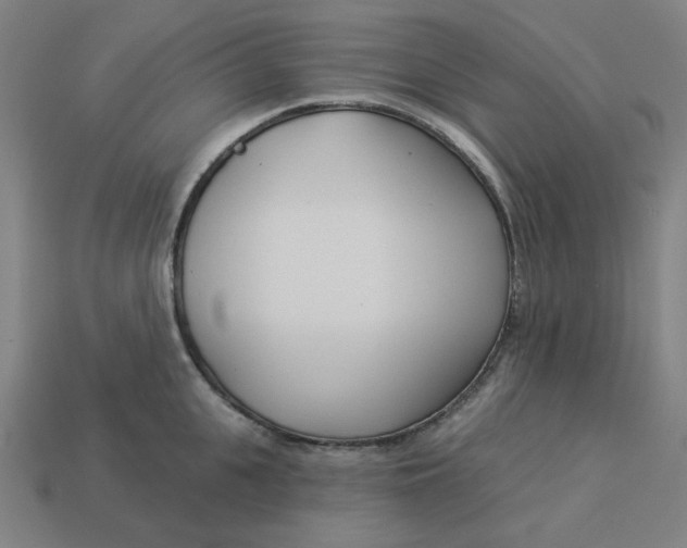 X0000113360951200910061037