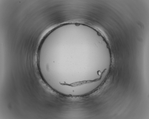 X0000113360952200910061037