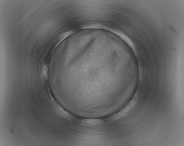 X0000113360953200910061037