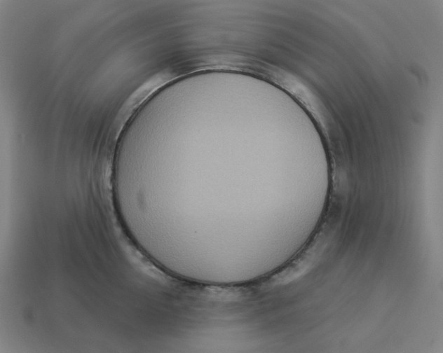 X0000113360954200910061037