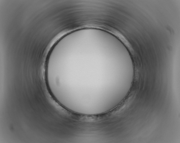 X0000113360955200910061037