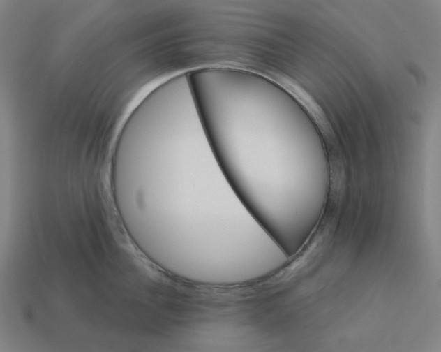 X0000113360956200910061037