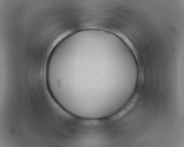 X0000113360957200910061037