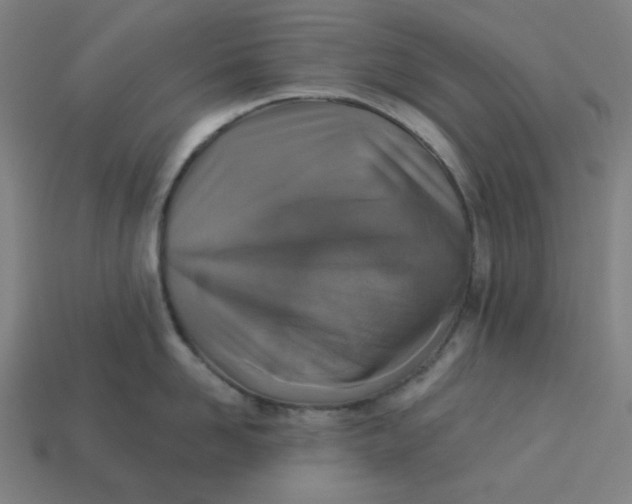 X0000113360958200910061037