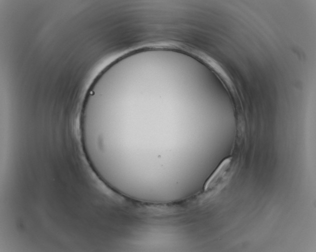 X0000113360959200910061037