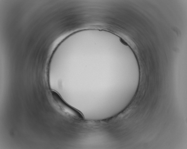 X0000113360960200910061037