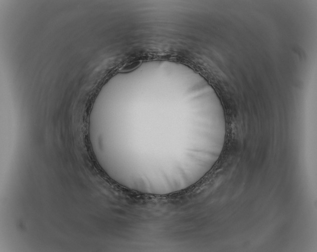 X0000113360961200910061036