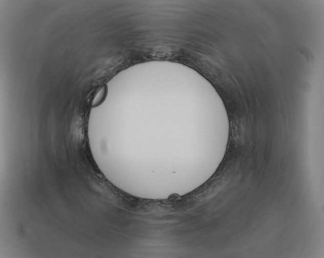 X0000113360962200910061036