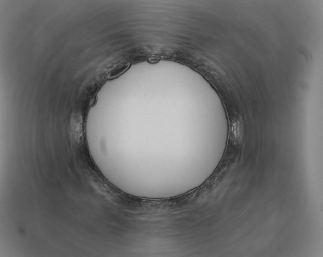 X0000113360963200910061036