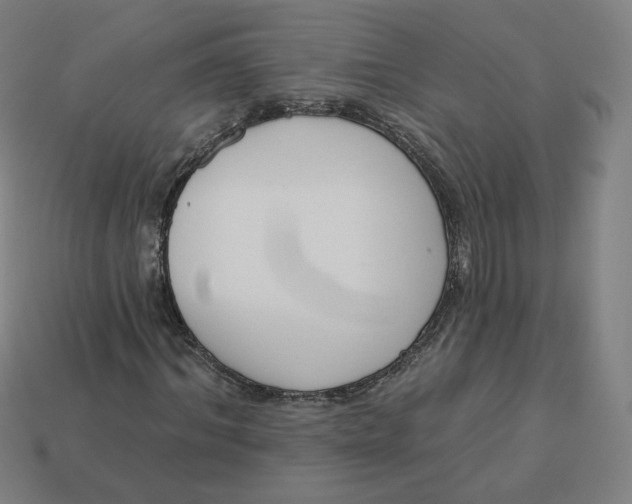 X0000113360964200910061036