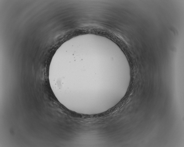 X0000113360965200910061036