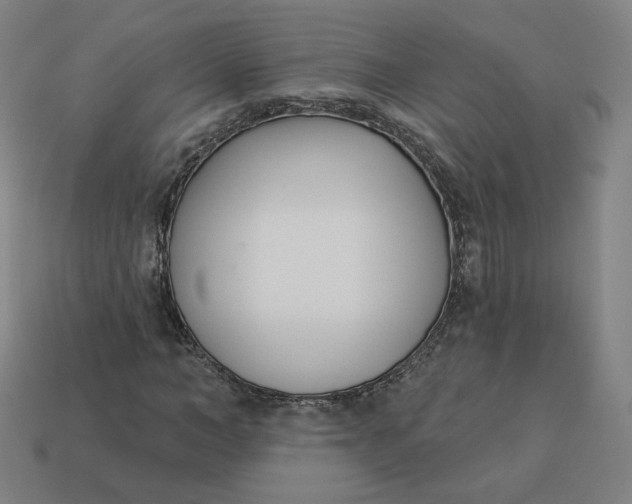 X0000113360966200910061036