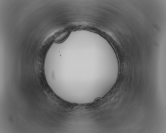 X0000113360967200910061036