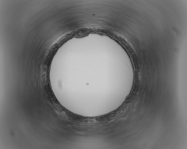 X0000113360968200910061036