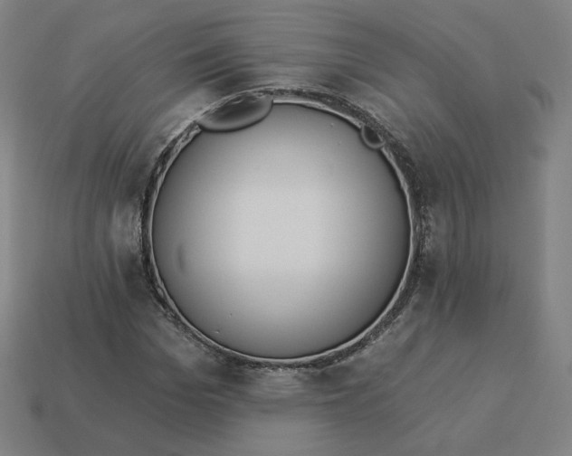 X0000113360969200910061036