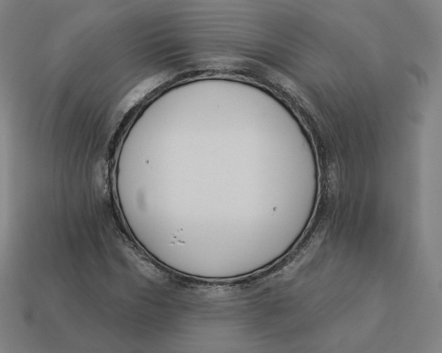 X0000113360970200910061036