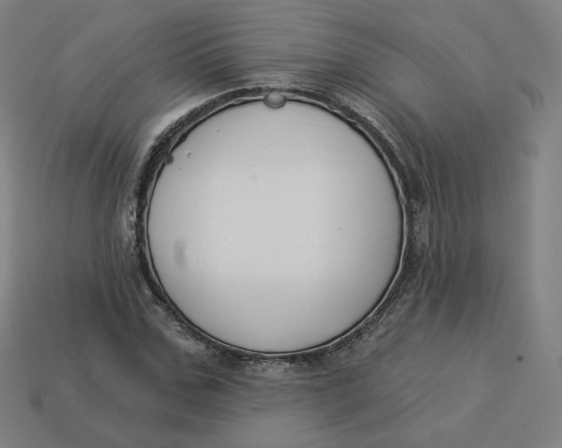 X0000113360971200910061036