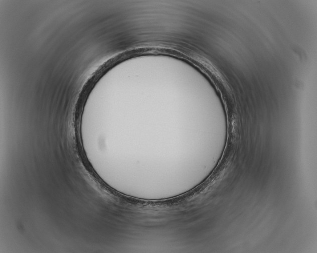 X0000113360972200910061036