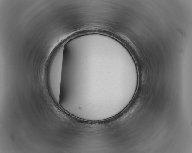 X0000113360973200910061036