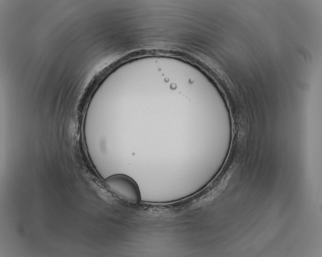 X0000113360974200910061036