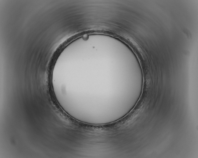 X0000113360975200910061036