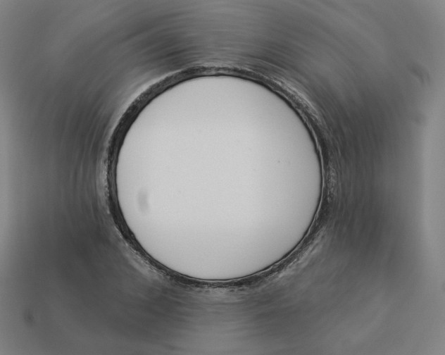 X0000113360976200910061036