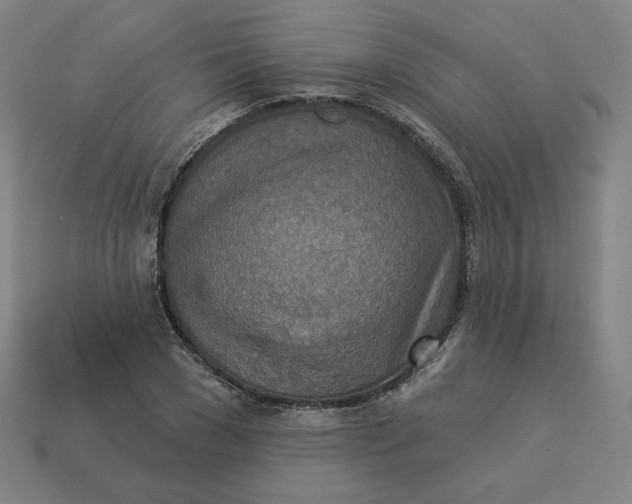 X0000113360977200910061036