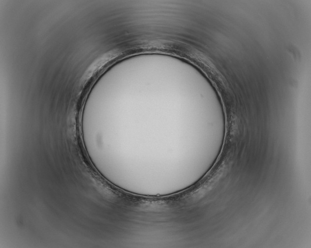 X0000113360978200910061036