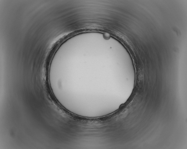 X0000113360979200910061036