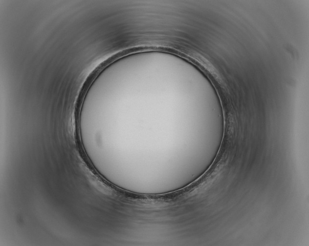 X0000113360980200910061036