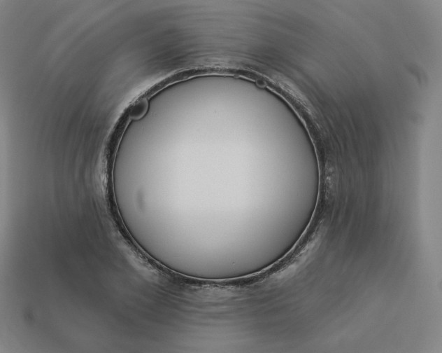 X0000113360981200910061036