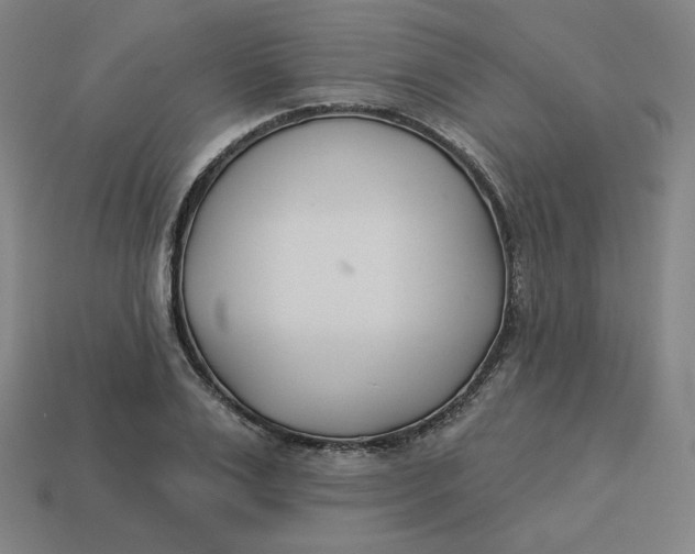 X0000113360983200910061036