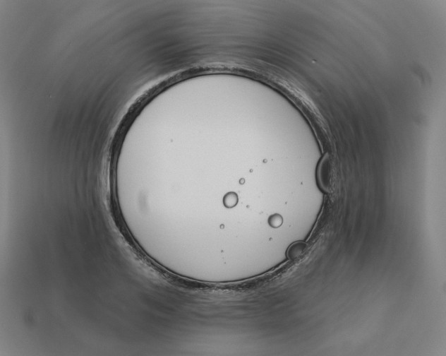 X0000113360984200910061036