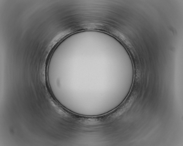 X0000113360986200910061036