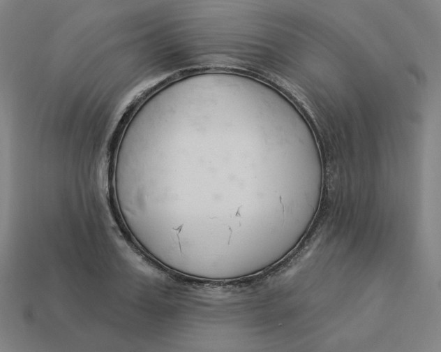 X0000113360987200910061036