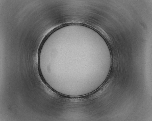 X0000113360988200910061036