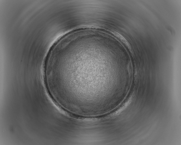 X0000113360989200910061036