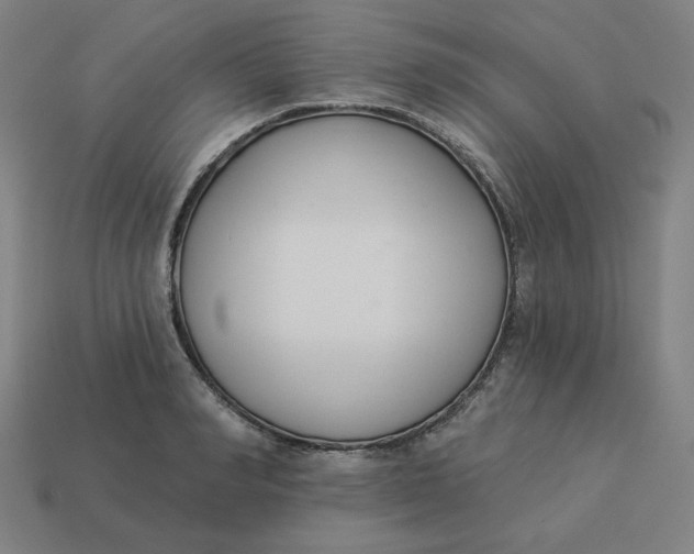 X0000113360990200910061036