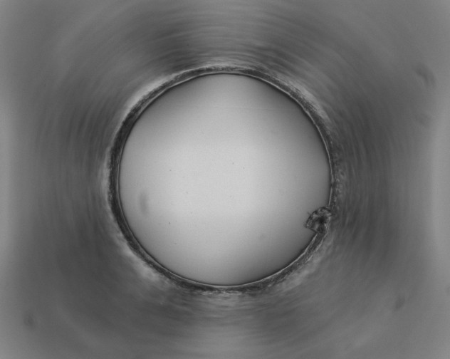 X0000113360991200910061036