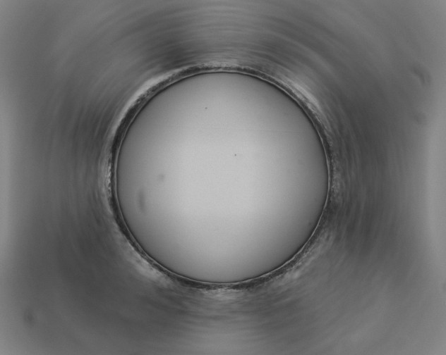 X0000113360992200910061036