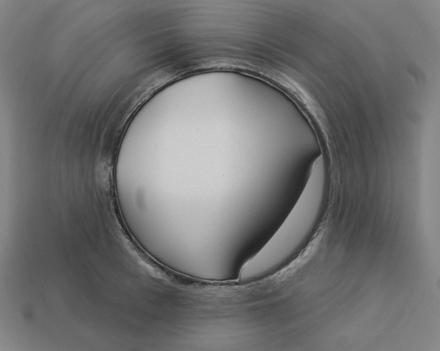 X0000113360993200910061036