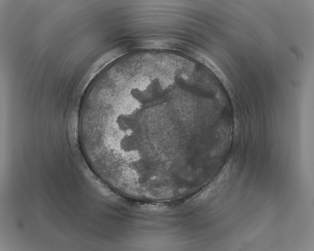 X0000113360994200910061036