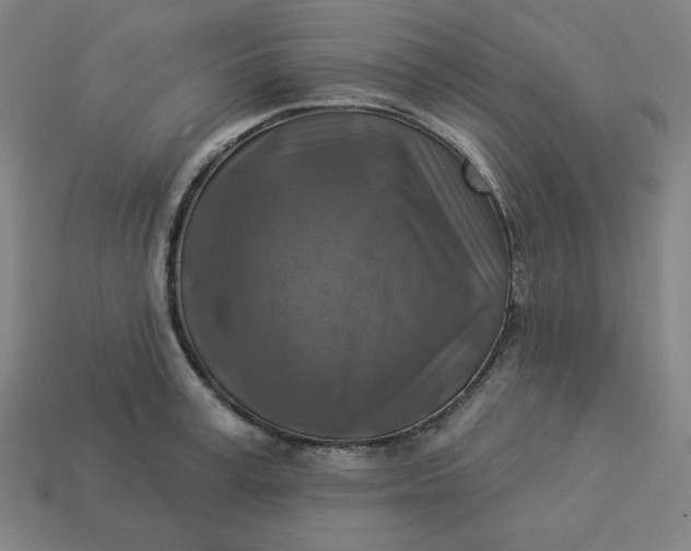 X0000113360995200910061036