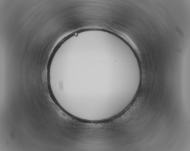 X0000113360996200910061036