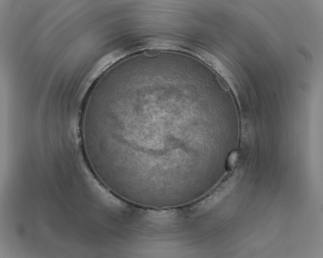 X0000113360997200910061036