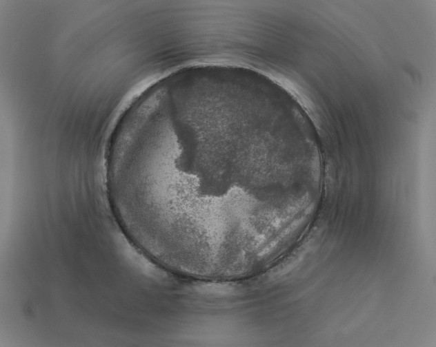 X0000113360998200910061036