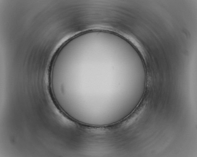 X0000113360999200910061036