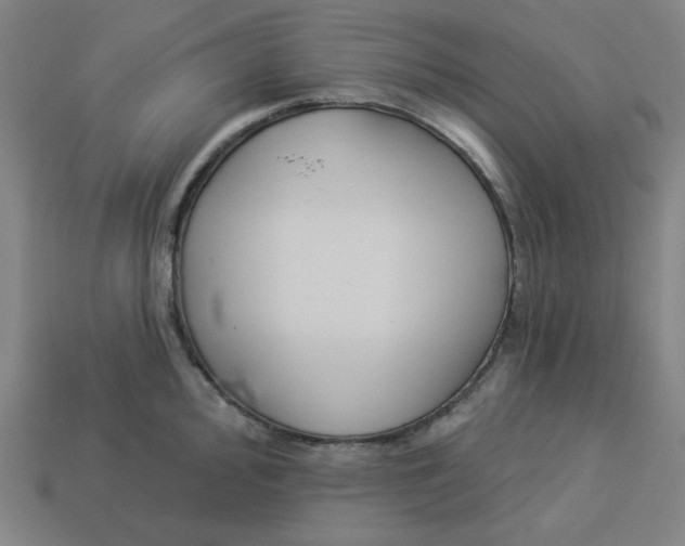 X0000113361000200910061036