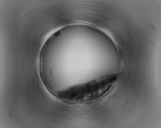 X0000113361003200910061036