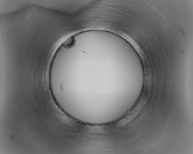 X0000113361004200910061036